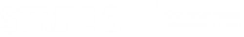 Stripe 3
